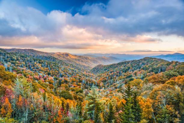 Breathtaking Sunsets, Views, Pool, Heaven Awaits! Villa Gatlinburg Kültér fotó